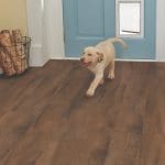 stainmaster flooring vinyl